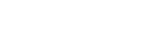 ADIO Chiropractic text logo with clean minimalist design